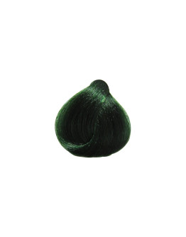 Rizzola - Flash Color Nº 0.38 Verde - 100ml