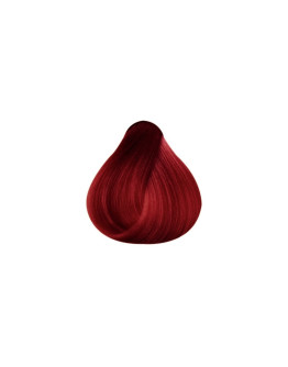 Rizzola - Flash Color Nº 5.5 Coaba Claro - 100ml