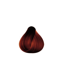 Rizzola - Flash Color Nº 7.63 Praliné - 100ml
