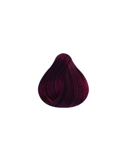 Rizzola - Flash Color Nº 4.20 Violeta - 100ml